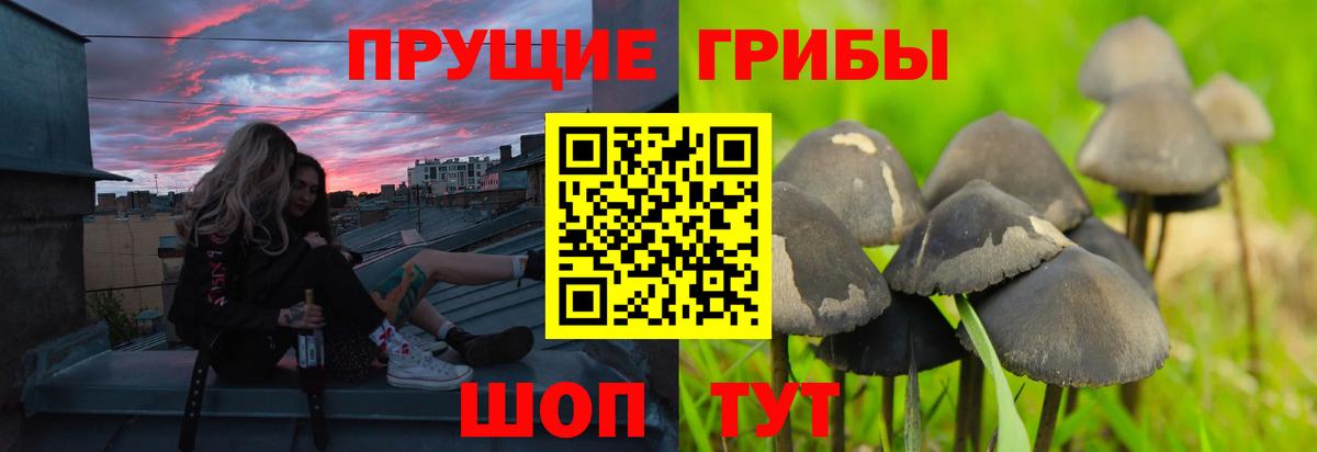 Псилоцибиновые грибы MAGIC MUSHROOMS Мыски