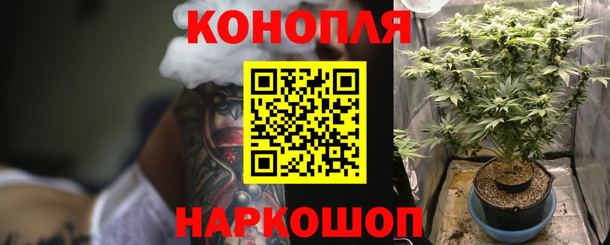 Бошки Шишки семена Мыски